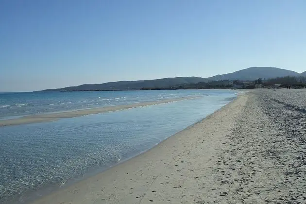 Oda, 1 Yatak Odası, Teras