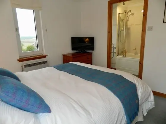 Tek Büyük Yataklı Oda, Bahçe Manzaralı (Room 3)