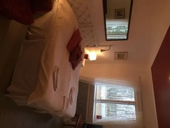 Tek Büyük Yataklı Oda (No Pets)