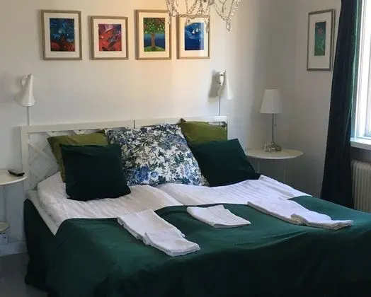 Tek Büyük Yataklı Oda (Pets Allowed)