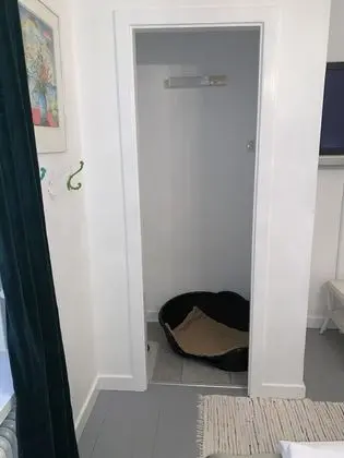 Tek Büyük Yataklı Oda (Pets Allowed)