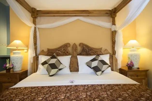 Tek Büyük Yataklı Oda, Havuz Manzaralı