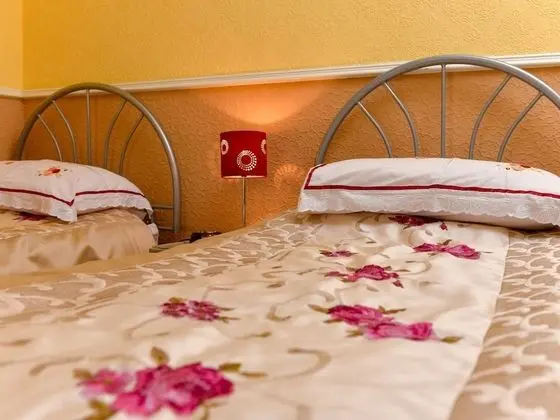 Standard İki Ayrı Yataklı Oda, Banyolu/Duşlu