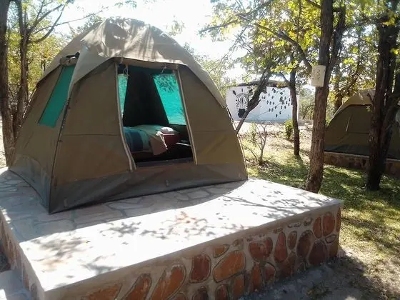 Basic Çadır, 1 Yatak Odası