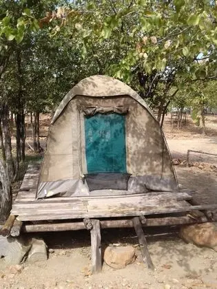 Basic Çadır, 1 Yatak Odası
