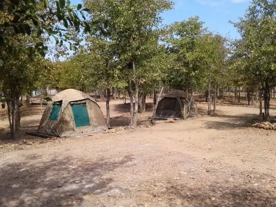Basic Çadır, 1 Yatak Odası
