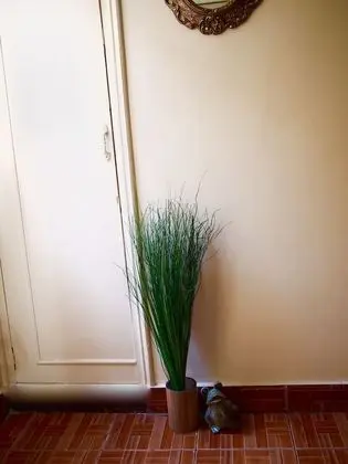 Standard Tek Kişilik Oda, 1 Büyük (Queen) Boy Yatak