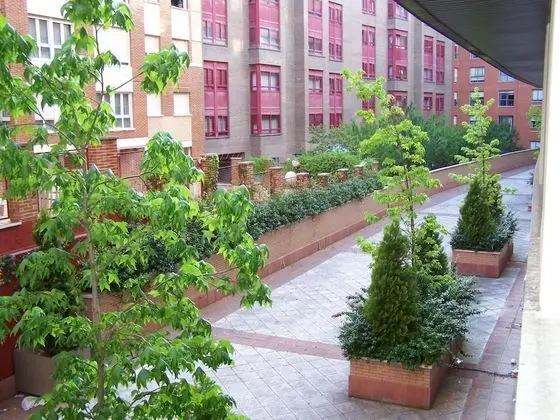 Premium Süit, Mutfak (Single Use)