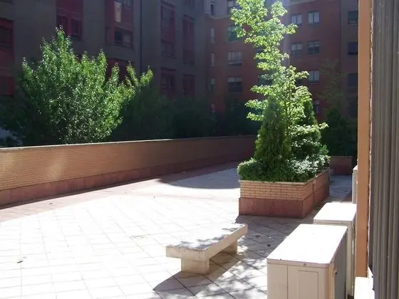 Süit, Mutfak (Single use)