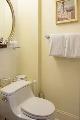 Standard Tek Büyük Yataklı Oda, Banyolu/Duşlu