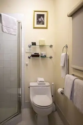 Standard Tek Büyük Yataklı Oda, Banyolu/Duşlu