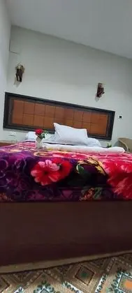 Deluxe Tek Kişilik Oda, Bahçe Manzaralı