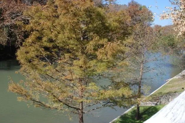 Ev (Water Haus, Daily Rental, 12 Guests)