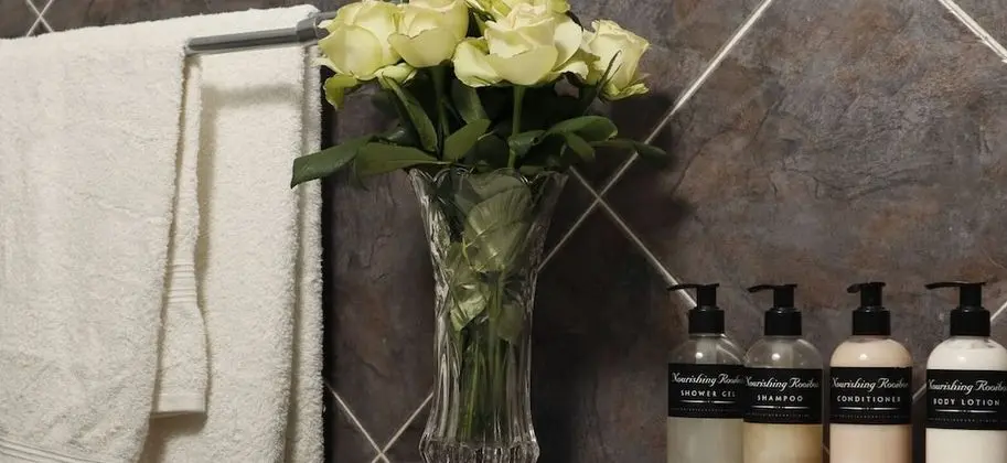 Luxury Süit