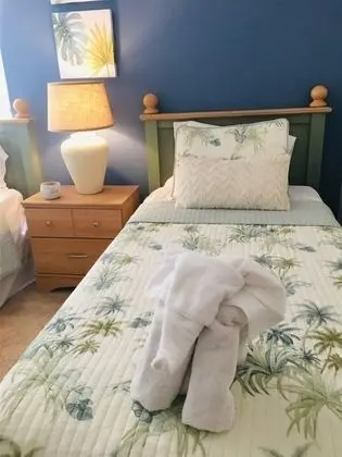 Ev