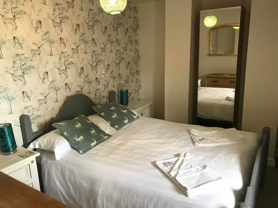Deluxe Tek Büyük Yataklı Oda (with Shower )