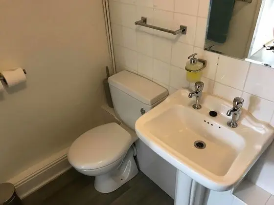 Deluxe Tek Büyük Yataklı Oda (with Shower )