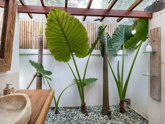 Superior Villa