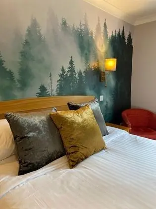 Tek Büyük Yataklı Oda (Hotel)