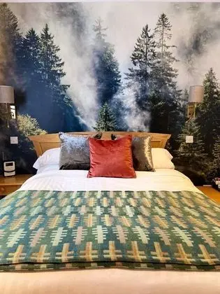 Tek Büyük Yataklı Oda (Hotel)