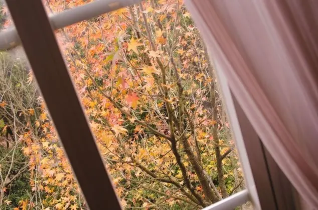 Superior İki Ayrı Yataklı Oda, Birden Çok Yatak, Sigara İçilmez, Park Manzaralı
