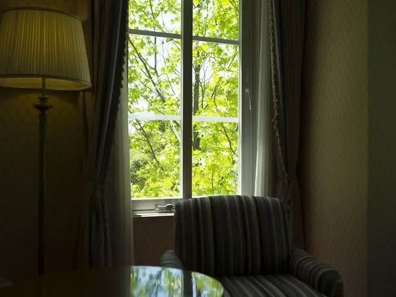 Superior İki Ayrı Yataklı Oda, Birden Çok Yatak, Sigara İçilmez, Park Manzaralı