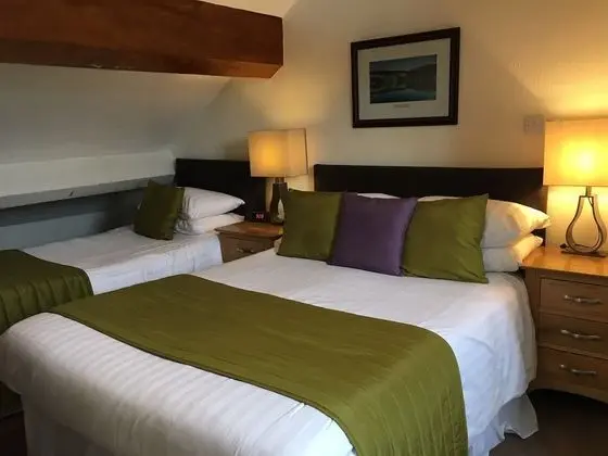 Tek Büyük Yataklı Oda (Room 5)