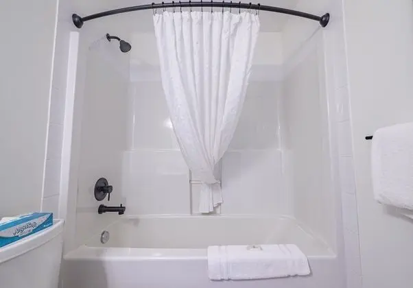 Signature Collection 1 Bedroom Queen Suite with Sofa Bed, Full Kitchen + Harbour View