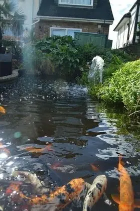 Standard Tek Büyük Yataklı Oda (Fishermans Rest)