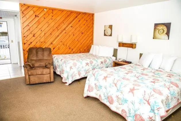 Standard Tek Büyük Yataklı Oda, 2 Büyük (Queen) Boy Yatak, Sigara İçilmez