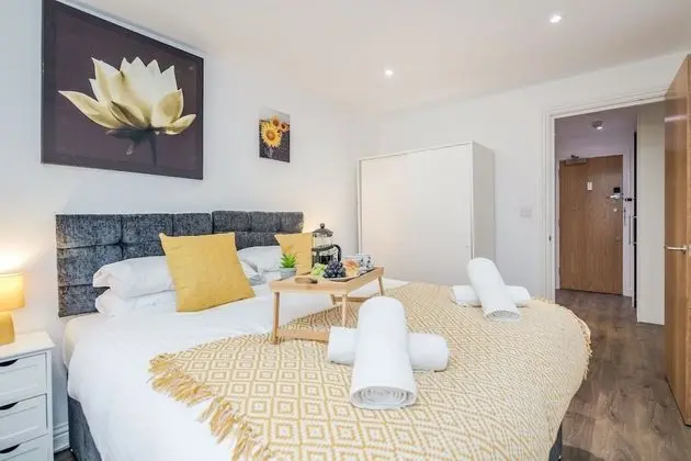 Executive Apart Daire, Özel Banyo, Şehir Manzaralı (F10 Spacious)