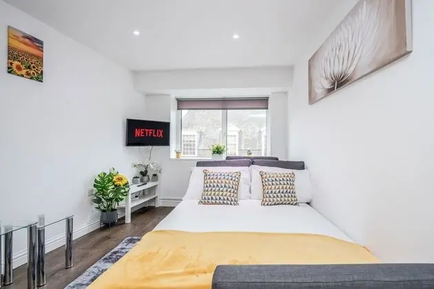 Executive Apart Daire, Özel Banyo, Şehir Manzaralı (F10 Spacious)