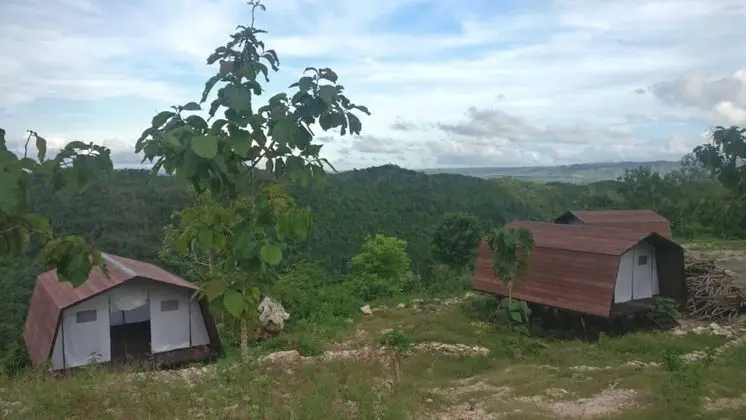 Standard Çadır