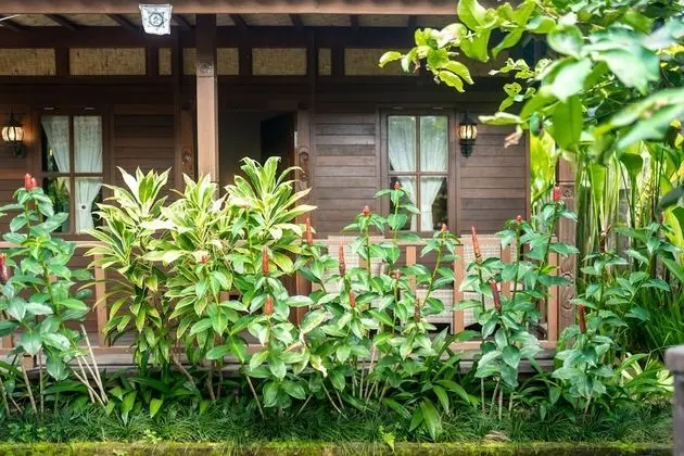 Deluxe Villa