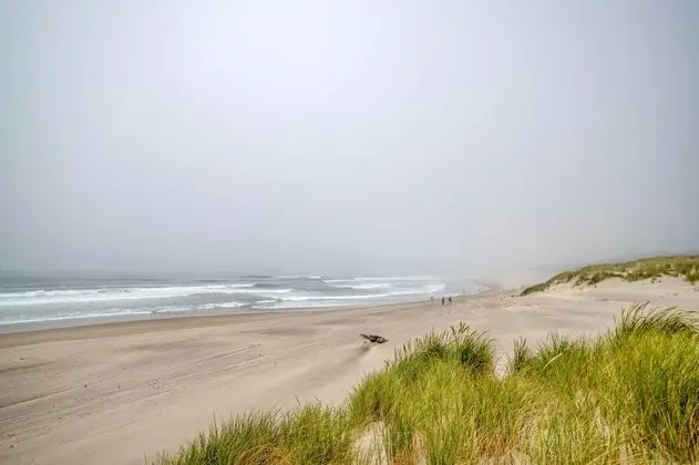 Ev, Birden Çok Yatak (Wave Catchers)