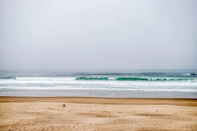 Ev, Birden Çok Yatak (Wave Catchers)