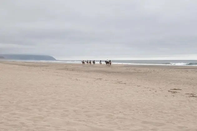 Ev, Birden Çok Yatak (Wave Catchers)