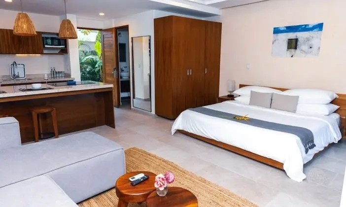 Deluxe Studio With Private Plunge Pool