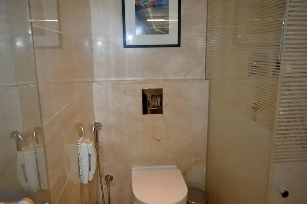 Deluxe Tek Kişilik Oda, 1 Büyük (Queen) Boy Yatak