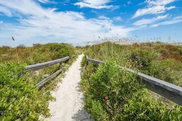 Daire (Way Down in Kokomo)