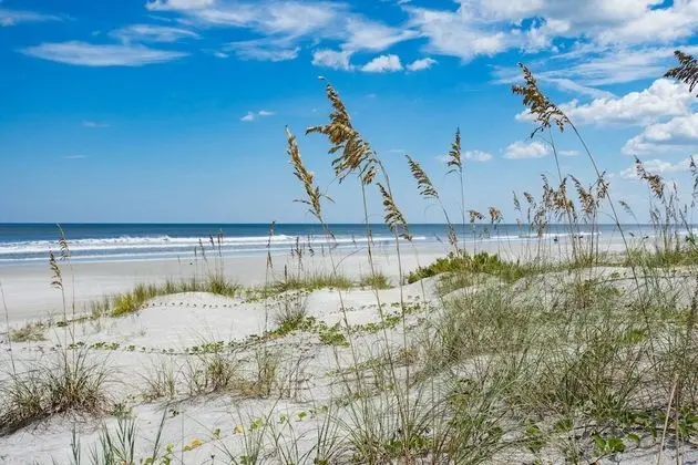 Daire (Way Down in Kokomo)