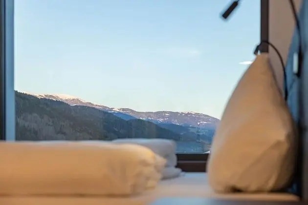 Superior Tek Büyük Yataklı Oda