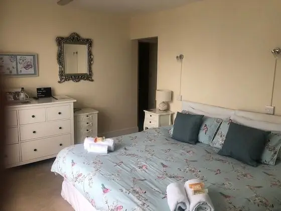 Traditional Tek Büyük Yataklı Oda, Banyolu/Duşlu, Deniz Manzaralı (Appledore )