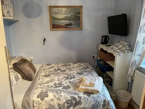 Traditional Tek Büyük Yataklı Oda, Engellilere Uygun, Banyolu/Duşlu