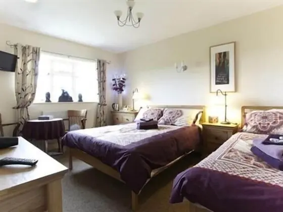Tek Büyük veya İki Ayrı Yataklı Oda, Banyolu/Duşlu (or Triple Room )