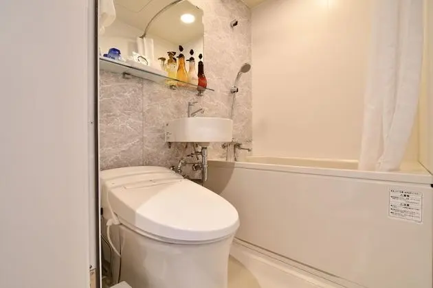 Superior Tek Büyük Yataklı Oda, Sigara İçilmez