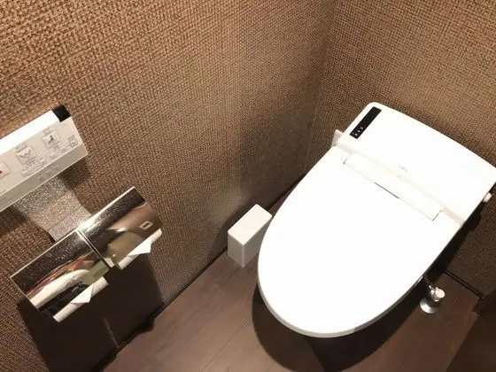 Superior Tek Büyük Yataklı Oda, Sigara İçilmez
