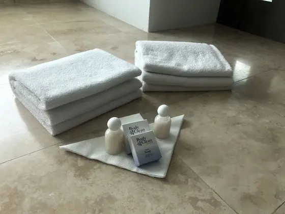 Master Suite with jacuzzi and street view
