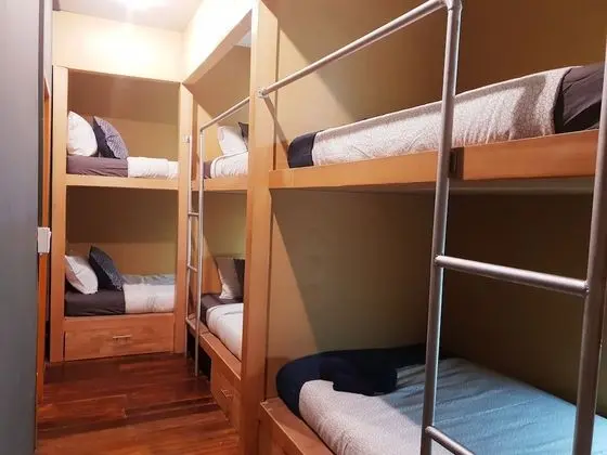 Family Room with Private Bathroom (Bunk Bed)