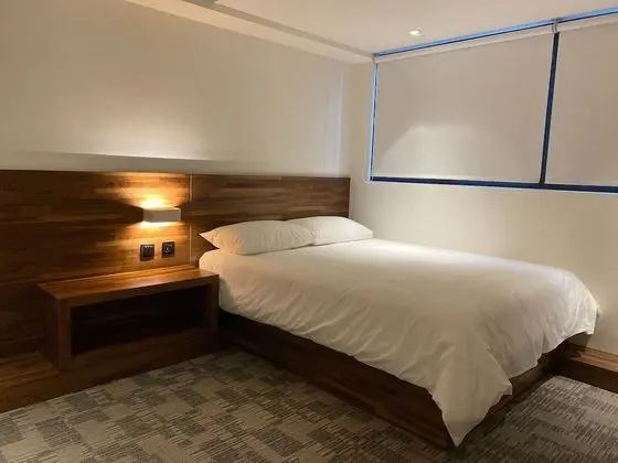 Deluxe Tek Büyük Yataklı Oda, 1 Çift Kişilik Yatak, Banyolu/Duşlu